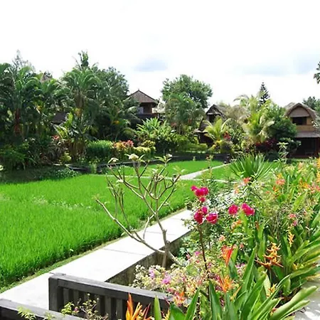 Gerebig Bungalows